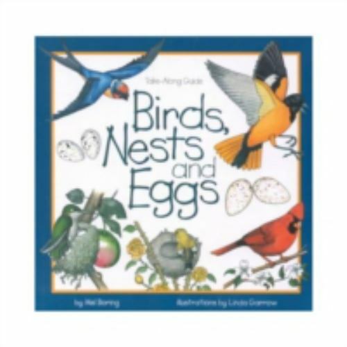 Birds nests eggs by - nests, &