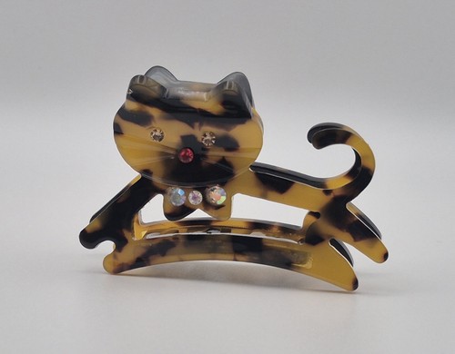 Cute tortoiseshell cat - tortoiseshell,