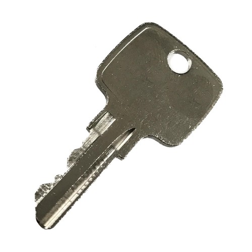 Plant key 902336 - plant,