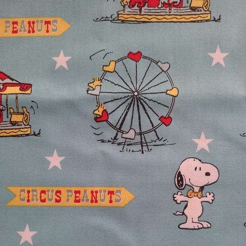 Craft cotton company peanuts - craft,