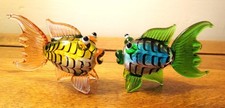 Miniature Glass Fantail Colourful Fish