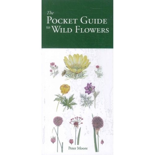 The pocket guide - pocket,