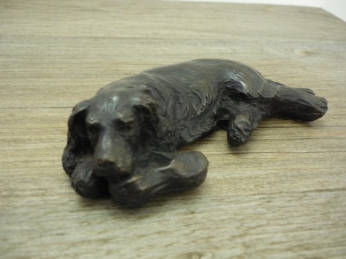 Laying golden retriever - retriever, with