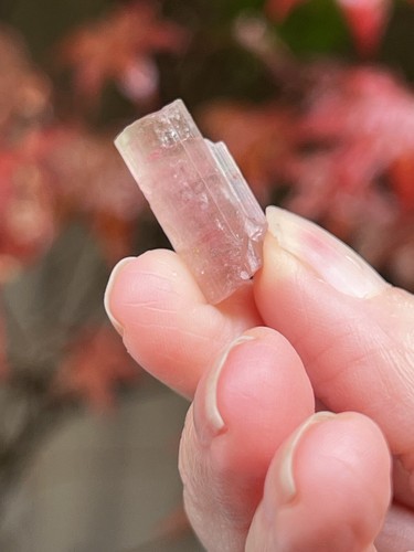 Pink tourmaline rod - pink, terminated