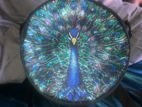 Hand painted gorgeous peacock - painted,