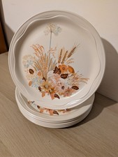 6 X Poole Summer Glory Vintage