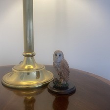 Barn Owl Perched On Branch by Country Artists