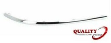 Rear Bumper Moulding Chrome