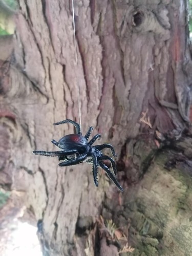 Scary halloween spider bat - scary,