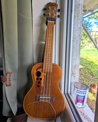Caramel string acoustic - caramel, 4-string