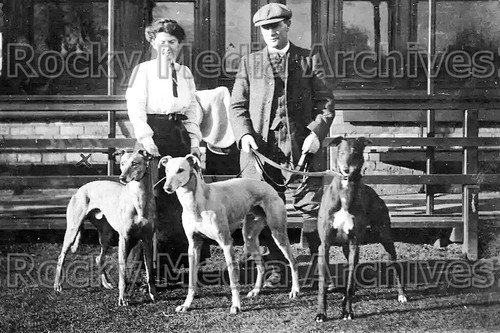 Bxx greyhound racing - bxx-27,
