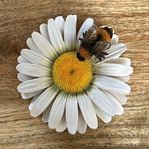 Holland daisy bee resin wall - bee,
