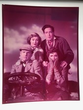 Genevieve 1953 Original 8x10