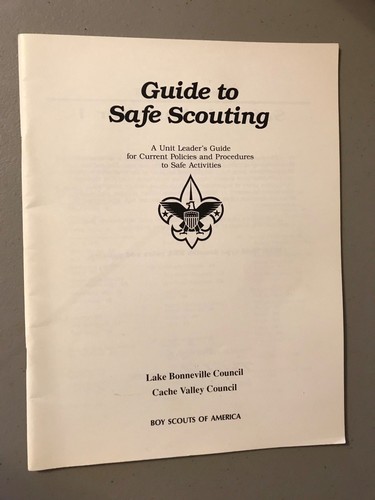 Bsa manual guide to safe - manual,,