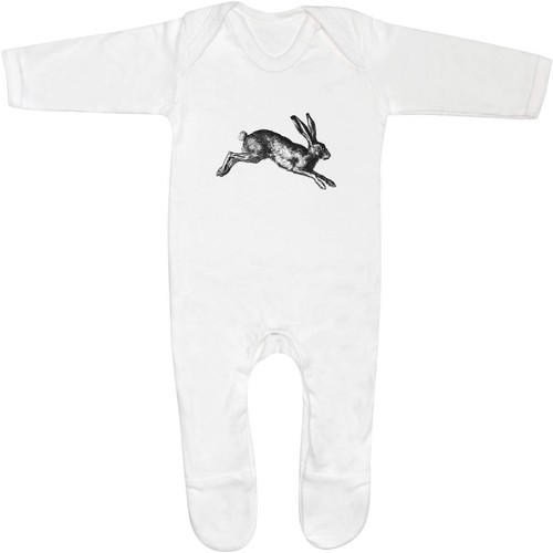 Hare rabbit jumping - 'hare, baby