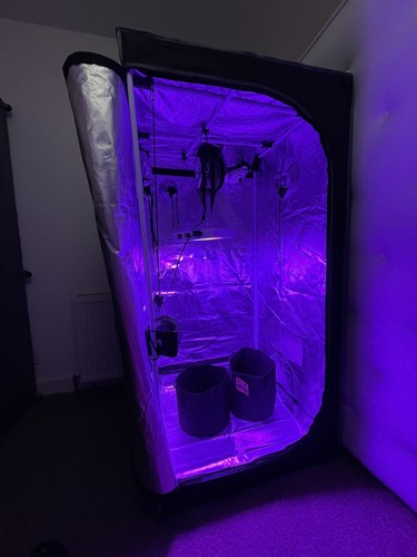 Grow tent kit - tent,