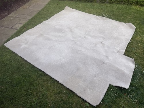 Neutral carpet with - carpet,