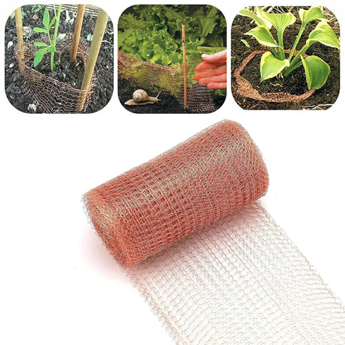 Copper mesh slug repellent - slug,