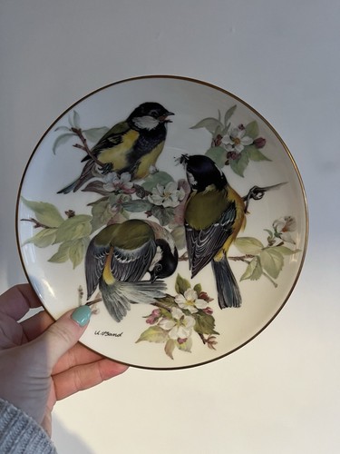 Collector plates songbirds - collector's,