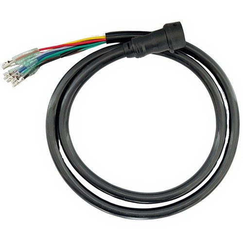 Wiring harness assembly - wiring,