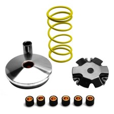 Variator roller play 16x13