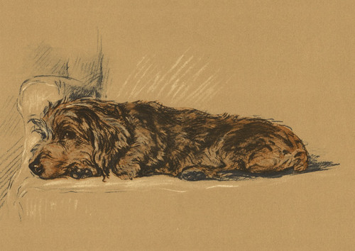 Dachshund dog greeting card - dog,