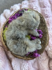 Taxidermy Mummified Baby
