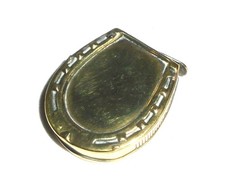 Antique Brass Horseshoe Shaped