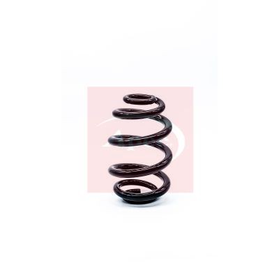 Apec rear suspension - suspension, coil