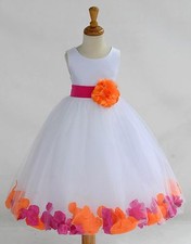 White floral rose petal flower - floral,