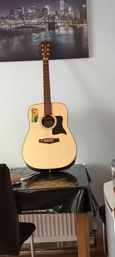 Tanglewoodtd accoustic - tanglewoodtd-8,