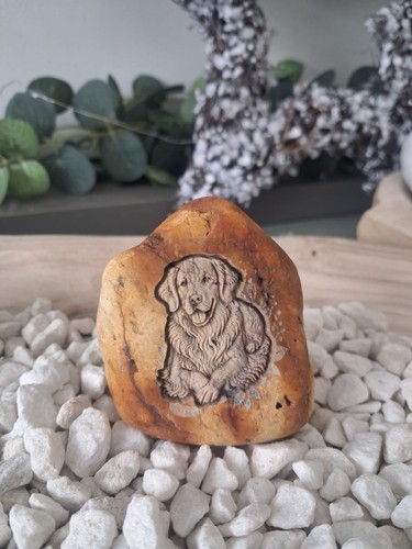 Golden retriever stone - golden, |