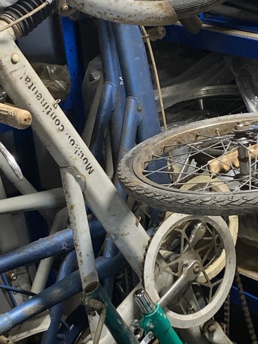 Moulton frame massive - moulton, f