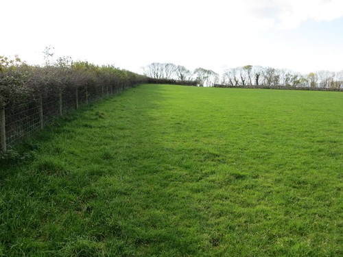 Photo 6x4 grazing land a - 6x4,