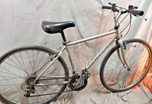 Giant farrago city hybrid - 98',