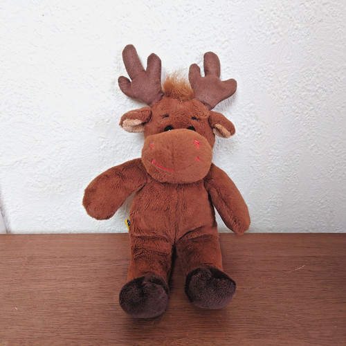 Build bear workshop mini - build, boy