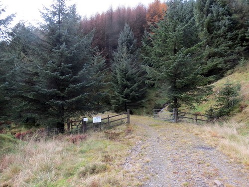 Photo 6x4 trac coedwigoedd - trac, /