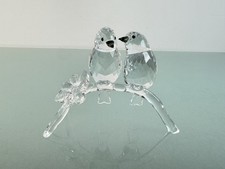 Swarovski 5249843 Binoculars