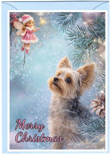 Yorkshire terrier yorkie - terrier,,