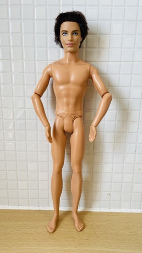 Mattel barbie life the - life,