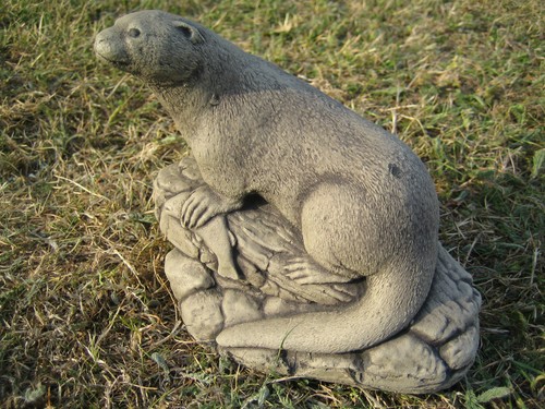 Otter with fish - with,