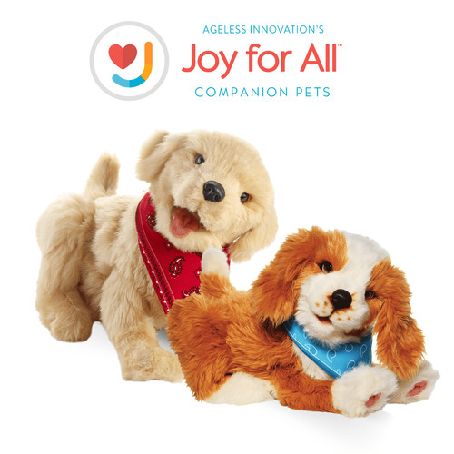 Joy for all - for,