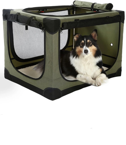 Collapsible travel dog - collapsible,
