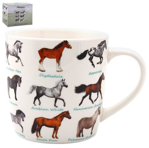 Breeds horses horse fine - breeds,