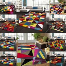 Multi Colour Rug Large Area