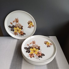 Royal Tudor Ware Dinner Plates