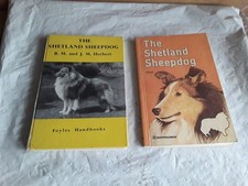 Shetland Sheepdogs boots