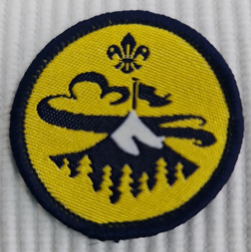 Beaver scout explorer badges - beaver,