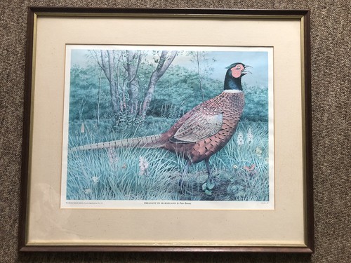 Large limited edition framed - limited,