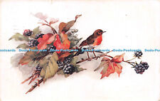 R258407 C W Faulkner Series 1787 Birds Painting 1923